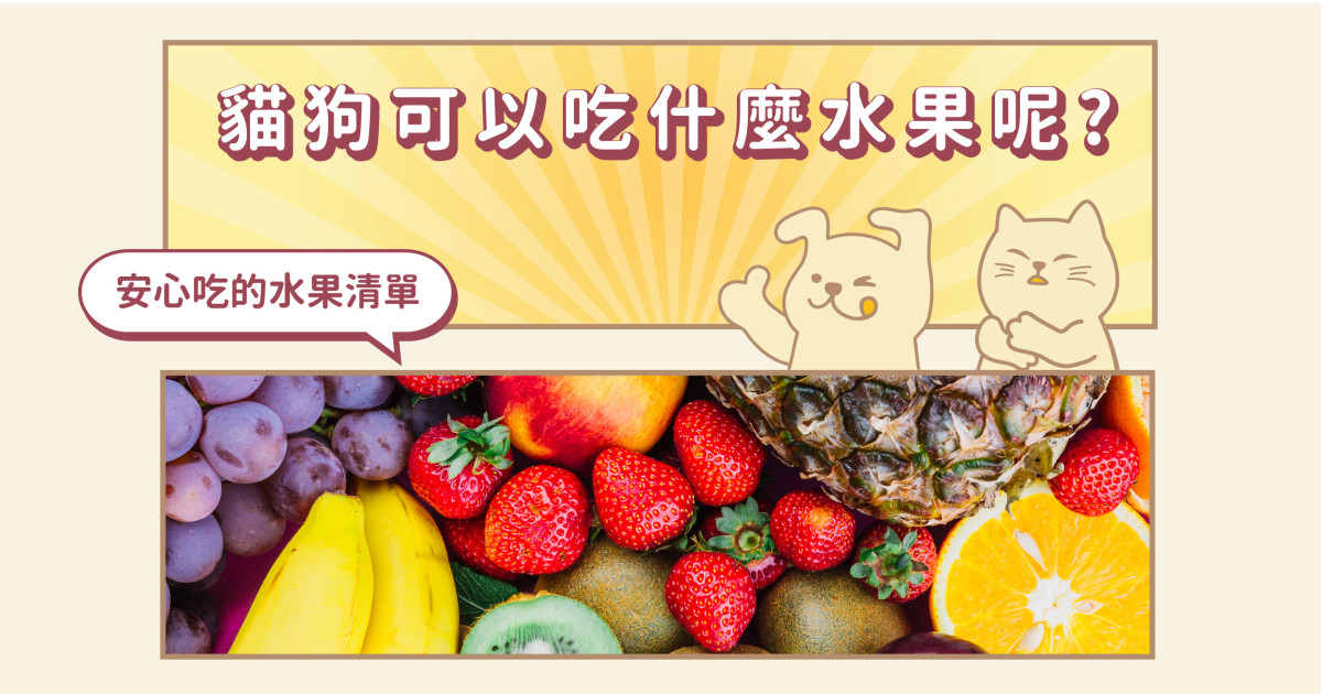 安心吃水果